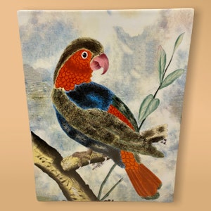 John Derian – Anthropologie, Parrot-motif, Porcelain Vase