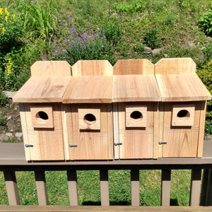 4 Cedar Bluebird Houses- Hand crafted, rough cut cedar