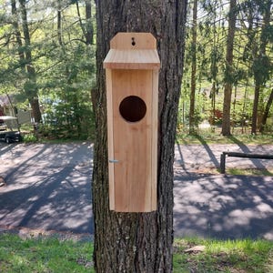 Screech Owl House