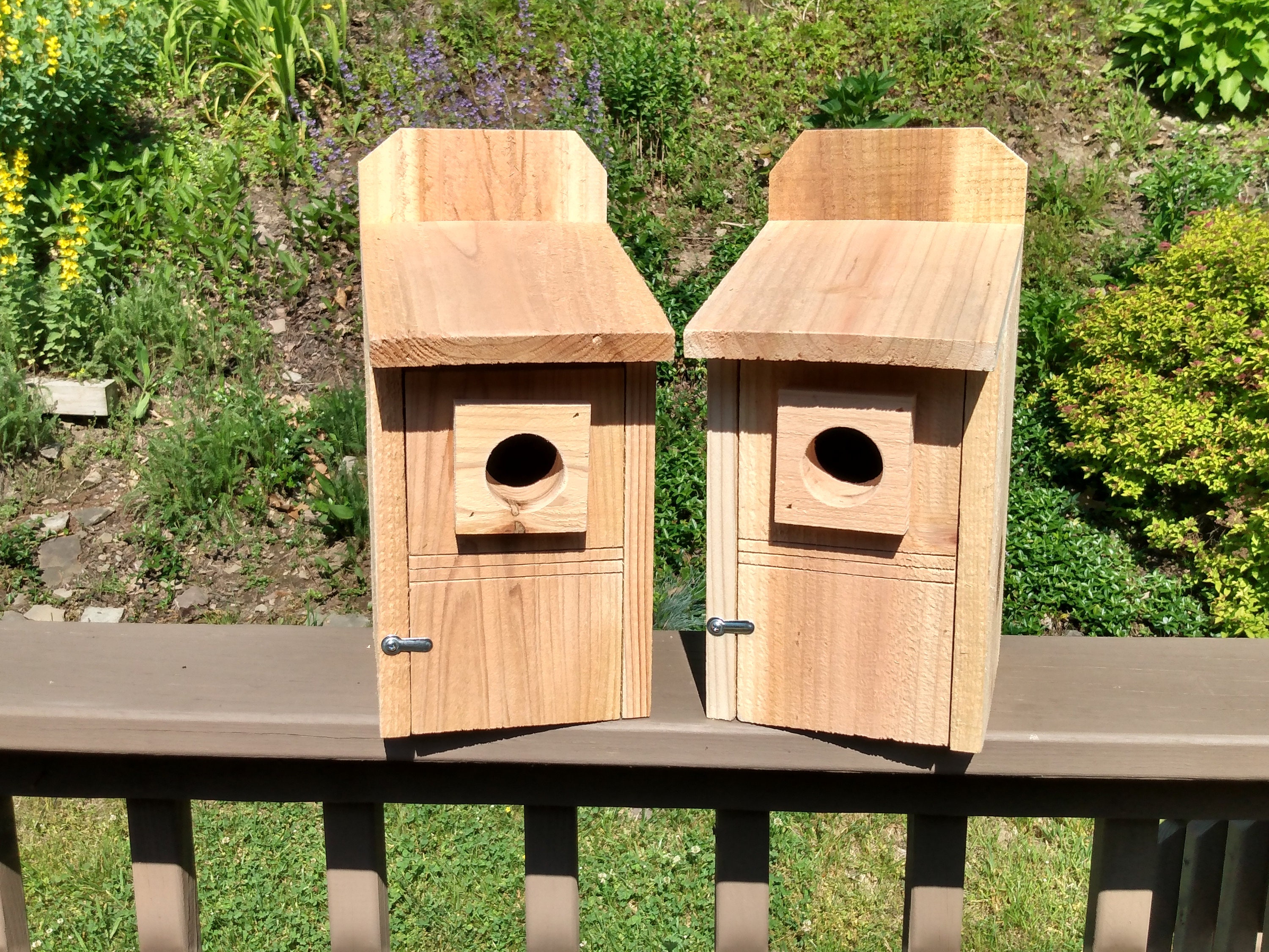 2 Cedar Bluebird houses-Rough Cut | Etsy