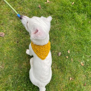 Hondenbandana, gehaakte hondenbandana, bandana voor honden, gehaakte bandana, hondenbandana, schattige hondenaccessoires, meerdere maten, hondenaccessoires