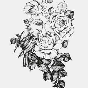 May include: A black and white line drawing of a bird perched on a branch of roses. The bird is facing left and has a detailed design. The roses are in full bloom and have a delicate, intricate design.