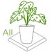 All Plant Based
