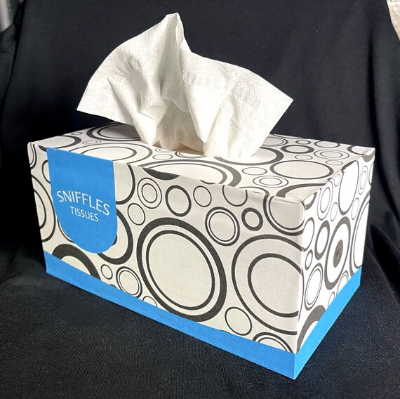Hidden Camera Tissue Box Etsy