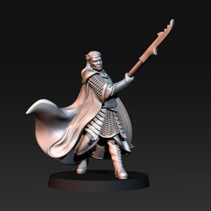 Blood Elf King on Foot/Swordsmen/Spearmen Miniatures