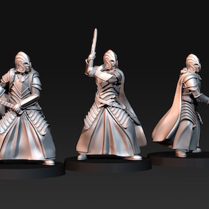 Blood Elf Wanderers/Archers/Swordsmen Miniatures
