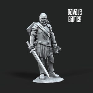 Grey Castle Captains | 3 Miniatures | Davale Games