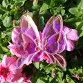 Holographic Flower Fairy Wings - Shoe / Bag / Roller Skates Accessories product logo