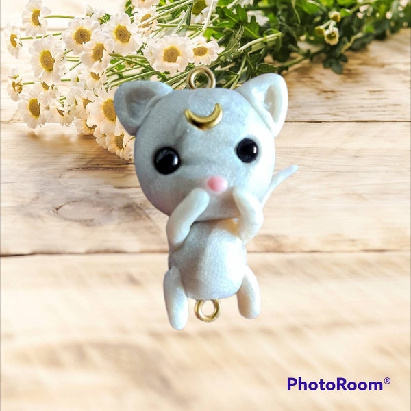 Charms Chat en fimo