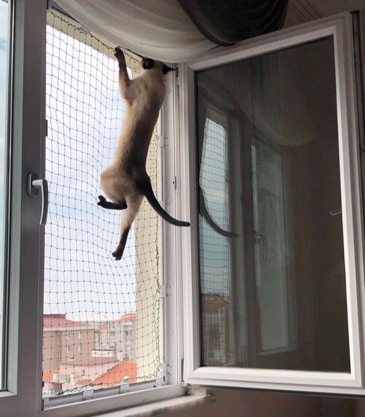 Mesh Window Protection for Cats Window Safety for Pets Etsy