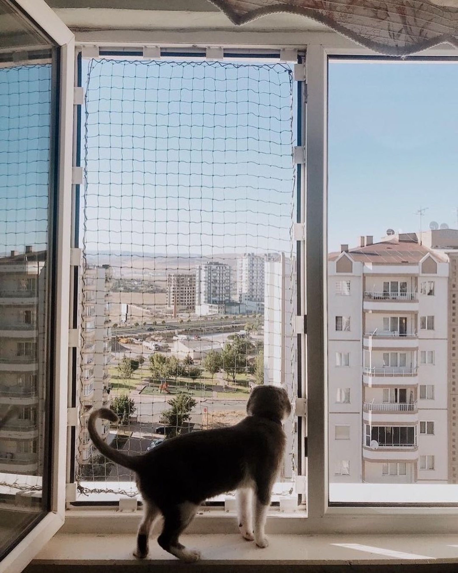 Mesh Window Protection for Cats, Window Safety for Pets, Custom Flat Cats Window Screens Mesh