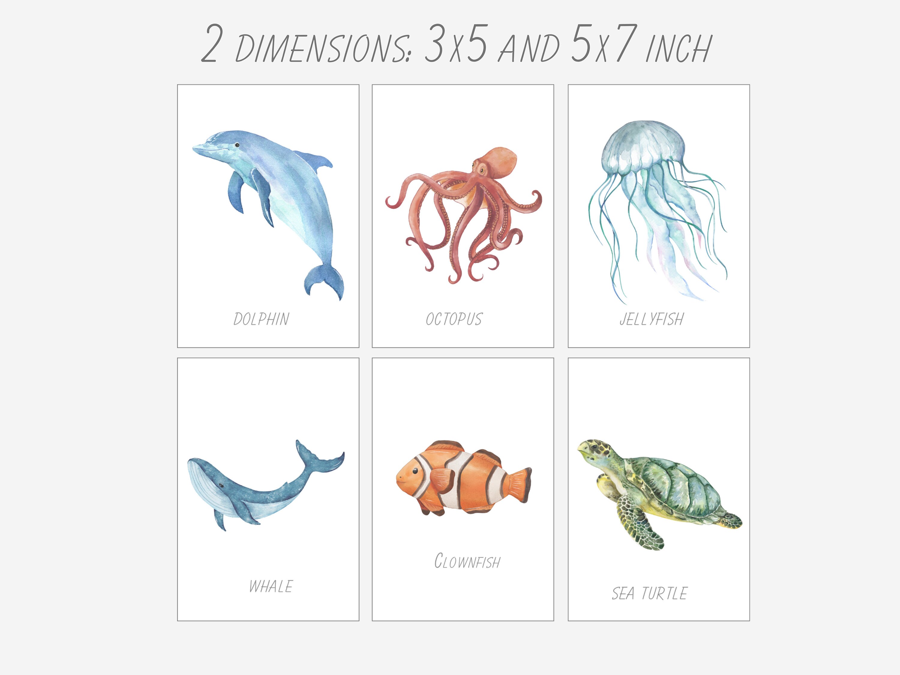 24 Flash Cards Printable Ocean Animals Flashcards Printable for Kids ...