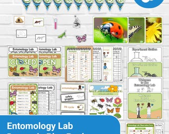 Kit de juego dramático de laboratorio de entomología / Caza de insectos STEM para niños
