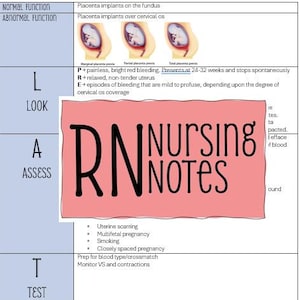 Maternal / Newborn Nursing Notes
