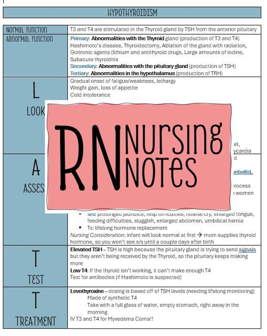 Endocrine Nursing Notes Bundle - Etsy