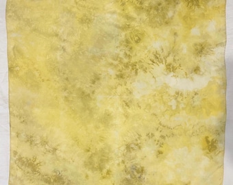 Large Botanically Dyed, Hand Painted Silk Scarf