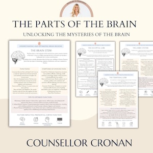 The Brain Parts Infographic handout. Clinicians, Brain regions, neuroplasticity, psychoeducational tool for mental health professionals