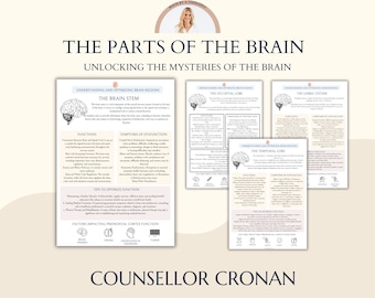 The Brain Parts Infographic handout. Clinicians, Brain regions, neuroplasticity, psychoeducational tool for mental health professionals