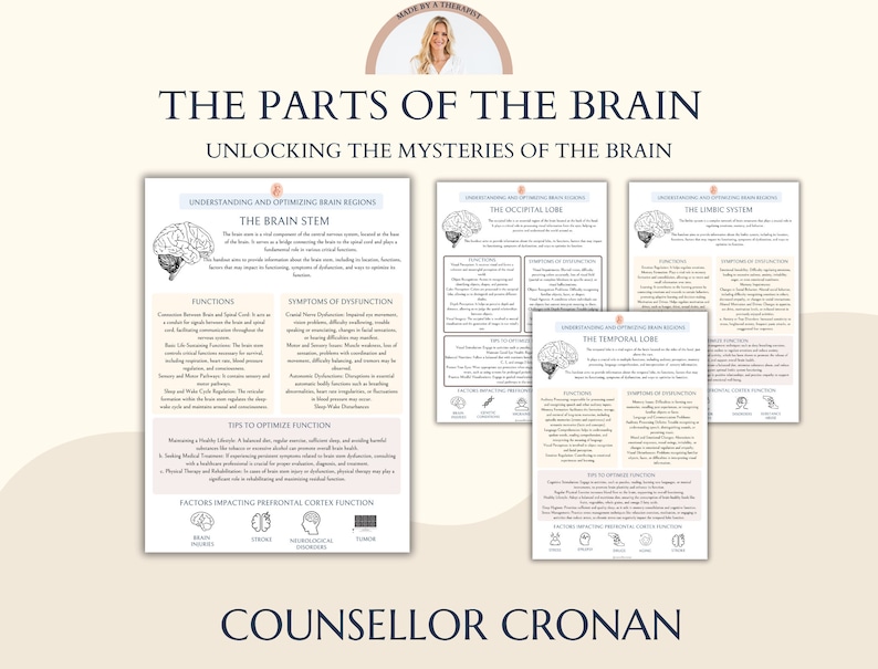 May include: A black and white infographic illustrating the different parts of the brain, including the brain stem, occipital lobe, temporal lobe, and limbic system. The infographic includes the functions, symptoms of dysfunction, and tips to optimize function for each part of the brain. The infographic also includes a section on factors impacting prefrontal cortex function.