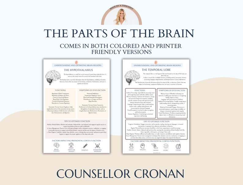 May include: A printable infographic illustrating the parts of the brain, specifically the hypothalamus and temporal lobe. The infographic includes functions, symptoms of dysfunction, tips to optimize function, and factors impacting prefrontal cortex function. The infographic is titled "The Parts of the Brain" and is by "Counsellor Cronan".