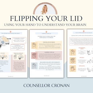 Understanding your Brain when your flipping your lid, Brain and Neuroscience Education Bundle Psychoeducation Resource for Therapists