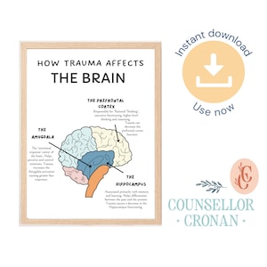 Comment le traumatisme affecte le cerveau, décor de bureau de thérapie, art mural de thérapie, affiche DBT, BPD, récupération, conseil, travailleur social, CBT