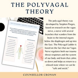 The Polyvagal Theory, Vagus nerve stimulation, psychology, therapy worksheets,Polyvagal Theory Cheatsheet for Nervous System Regulation, DBT image 2
