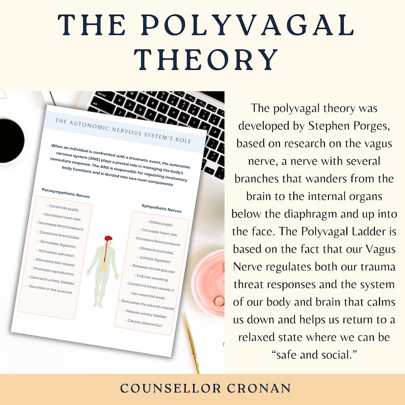 The Polyvagal Theory, Vagus nerve stimulation, psychology, therapy worksheets,Polyvagal Theory Cheatsheet for Nervous System Regulation, DBT image 2