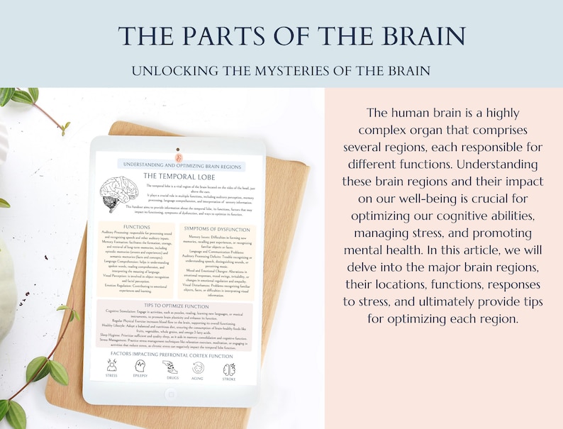 May include: A digital tablet displaying an infographic about the temporal lobe of the brain. The infographic includes sections on functions, symptoms of dysfunction, tips to optimize function, and factors impacting prefrontal cortex function. The text on the tablet reads "Understanding and Optimizing Brain Regions, The Temporal Lobe". The text on the tablet is in a white font on a light blue background. The tablet is on a wooden surface.