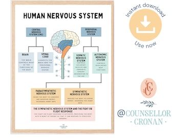 The human nervous system, fight or flight response, human brain anatomy, brain function, therapy office decor, office poster, psychology