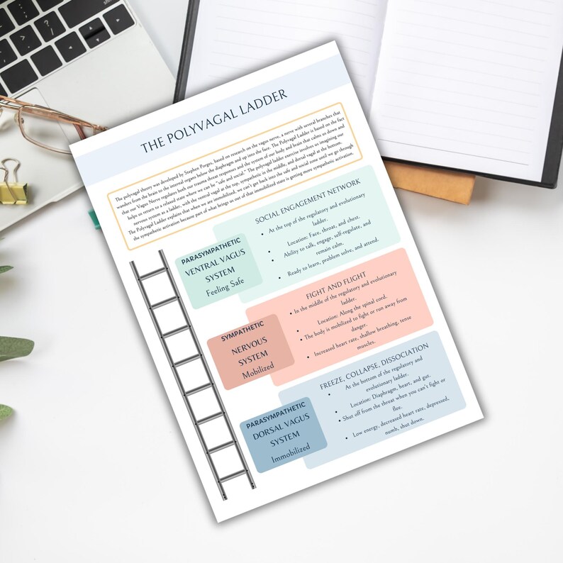 The Polyvagal Theory, Vagus nerve stimulation, psychology, therapy worksheets,Polyvagal Theory Cheatsheet for Nervous System Regulation, DBT image 5