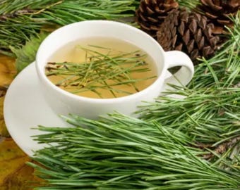 Für Tees und Tinkturen 100% Bio-Kiefernnadeln.