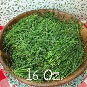 Eastern White Pine Needles loose for Tea Organically harvested from the forest of the Appalachian Mountains image 1