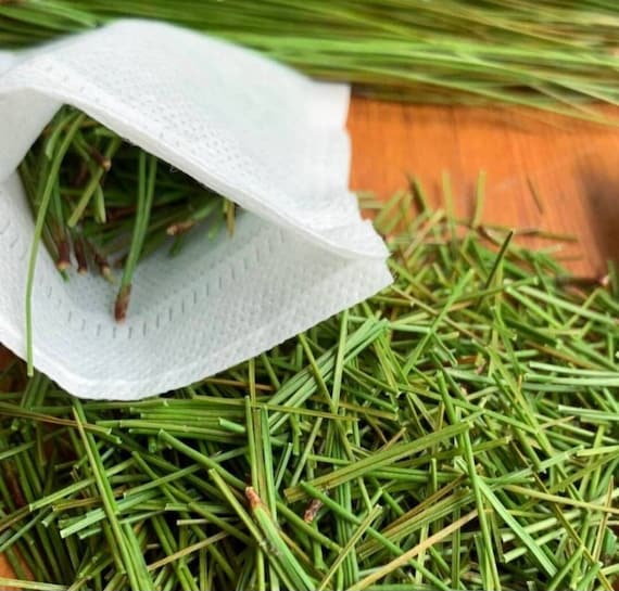 Organic Eastern White Pine Needle Tea Bags