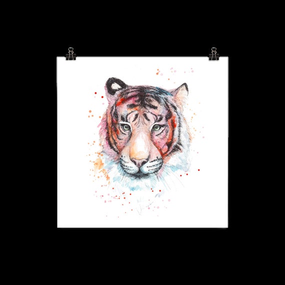 3399 FEMALE WHILE TIGER Animal Poster Photo Poster Print Art A0 A1 A2 A3 A4 