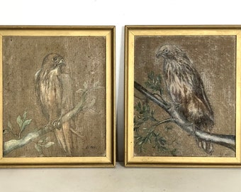 Pair of original antique early 20th century drawings of falcons in dark nuances with beautiful details - signed BT 1925