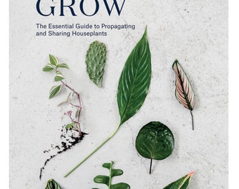 The Essential Guide to Propagating and Sharing Houseplants