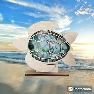 Shadow box for Sea glass *Sea turtle beach glass, seashells, shark teeth, crystals, agates, etc. 2