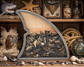 Shark Fin Shadow Box: Shark Teeth | Sea Glass Display - Largest Size 2