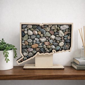 Connecticut State Shadow Box: Beach Finds Display