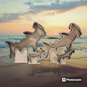 Hammerhead Shark Tooth Shadow Box: Beach Glass Display