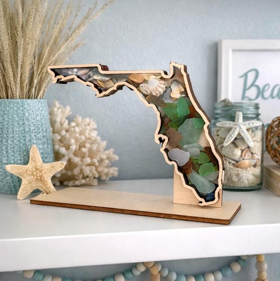 Florida Shadow Box: Sea Glass Display | Shark Tooth Holder - Etsy