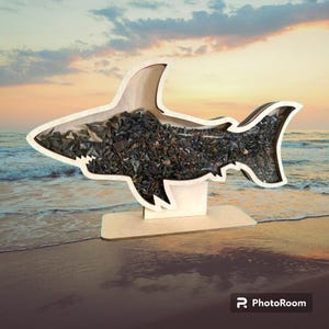 Shark Shadow box for shark teeth, sea glass, shells, agates, crystals etc. Shark tooth Display!