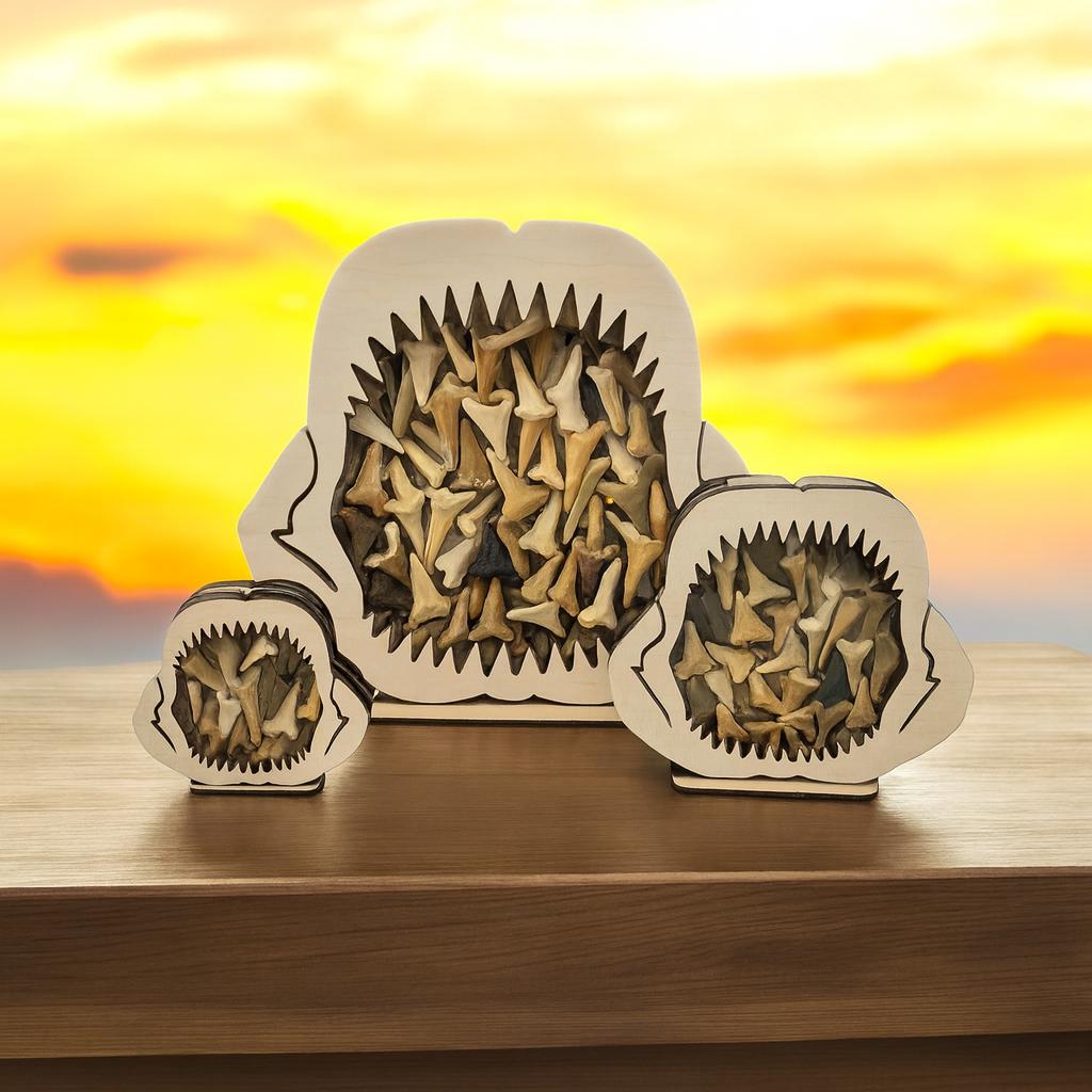 Shark Jaw Shadow Box: Shark Teeth Display - Etsy