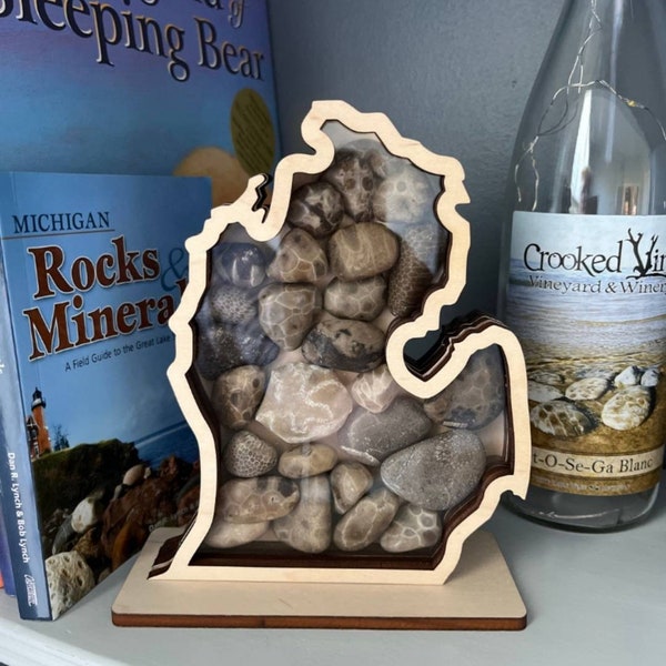 Michigan Lower peninsula (The original) Shadow box for lake superior agates, Petoskey, agates, beach glass shark teeth etc.  The Mitten Mi!