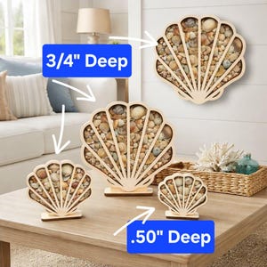 Sea Glass & Seashell Shadow Box "Our Original" Beach Glass | Shell Display