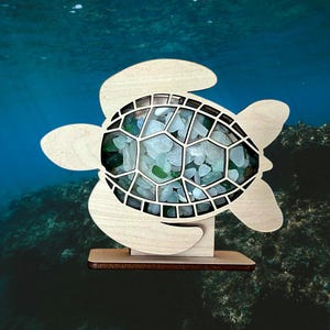 Sea turtle Shadow box for Sea glass, beach glass, seashells, shark teeth, crystals, agates, etc.