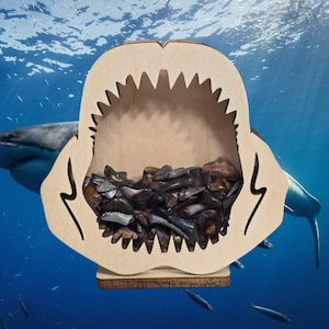 Shark teeth Jaw &quot;Mini&quot; shadow box for shark teeth! Shark tooth Holder, Tooth display!