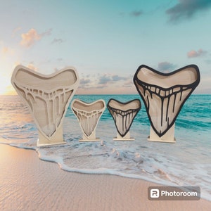 Megalodon Shark Tooth Display: Sea Glass, Shell | Crystal Holder 1