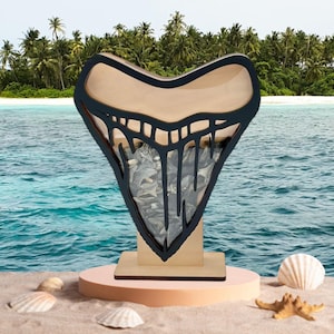 Megalodon Shark Tooth Display Box: Sea Glass, Shells, Crystals 2